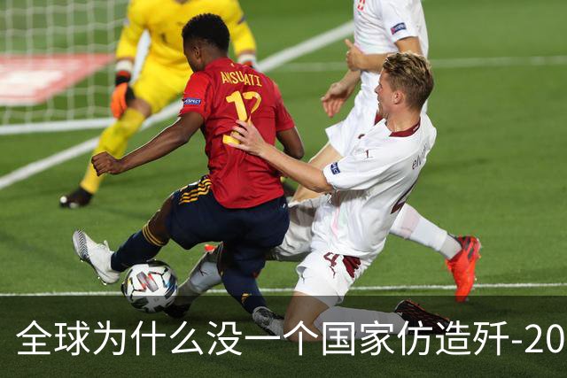 全球为什么没一个国家仿造歼-20，瑞典已破译！