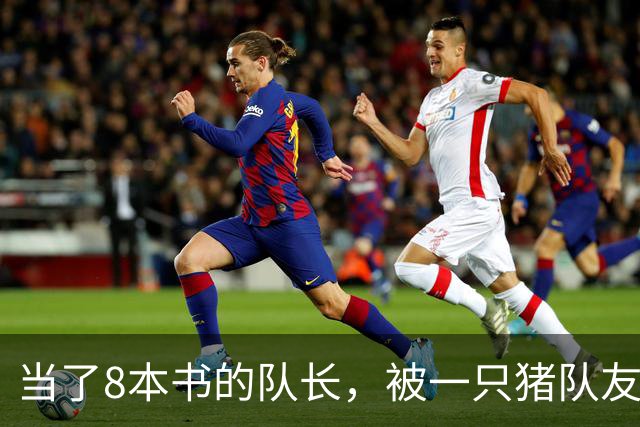 当了8本书的队长，被一只猪队友挤下台？新队长竟是女神
